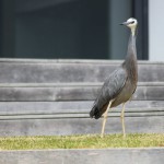 IMG_8763