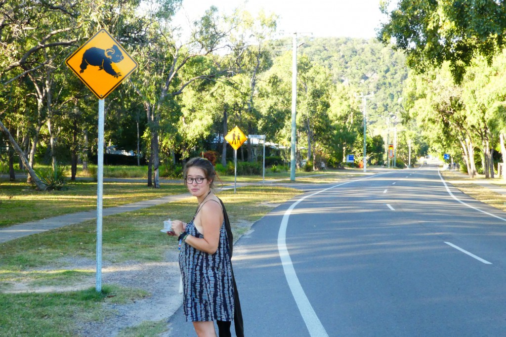 Ein Schild mit einem Koala. Schräg davor: Léa. Daneben Straße. Im Hintergrund Bäume.
