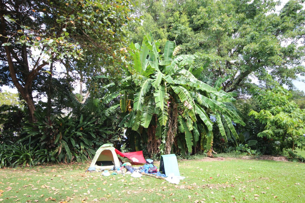 Ein Zelt vor einem Bananenbaum.