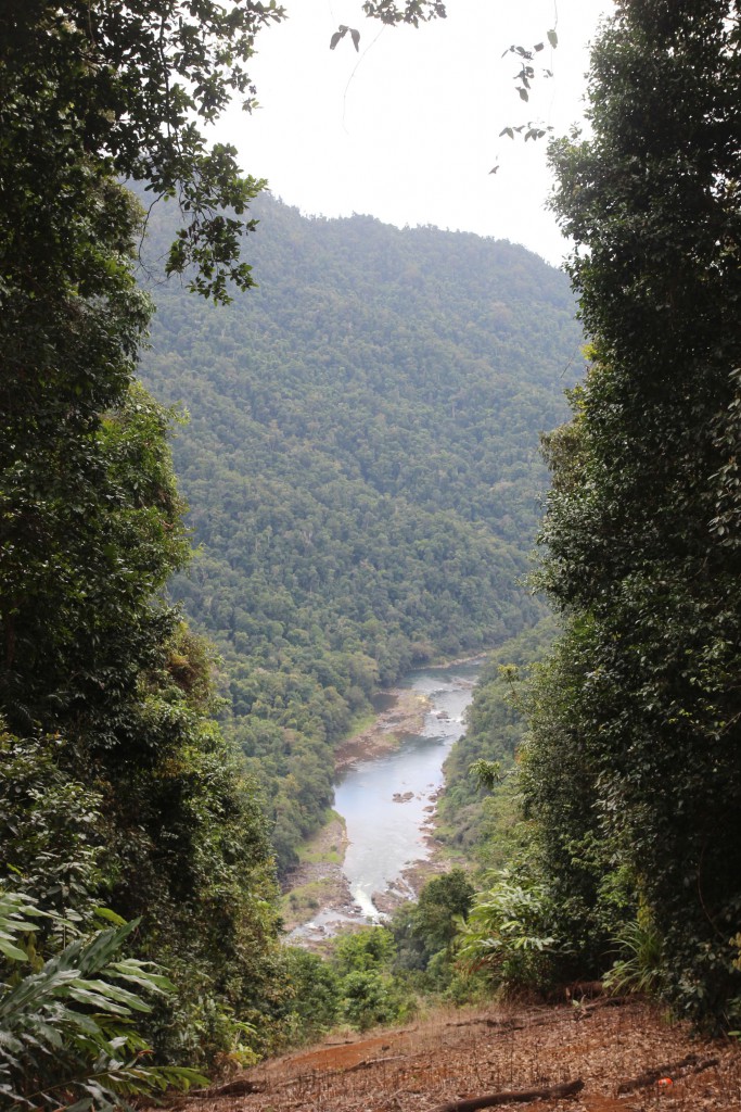 Ein Fluss im Regenwald. Wir wanderten dort hin.